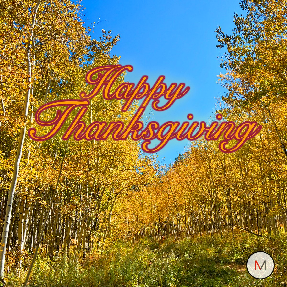 Have a wonderful Thanksgiving Day!!!