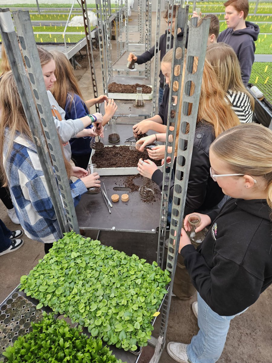 GreenportA's tweet photo. Zo'n 200 leerlingen van Yuverta mavo Aalsmeer &amp;Yuverta vmbo Aalsmeer ontdekten de wereld van NL tuinbouw bij De Zonnebloem, Van Klaveren Plant, HilverdaFlorist BV, FM Group, Handelskwekerij Ubink B.V. en Bunnik Bromelia #GreenUnplugged https://t.co/ST27Hfc0sx