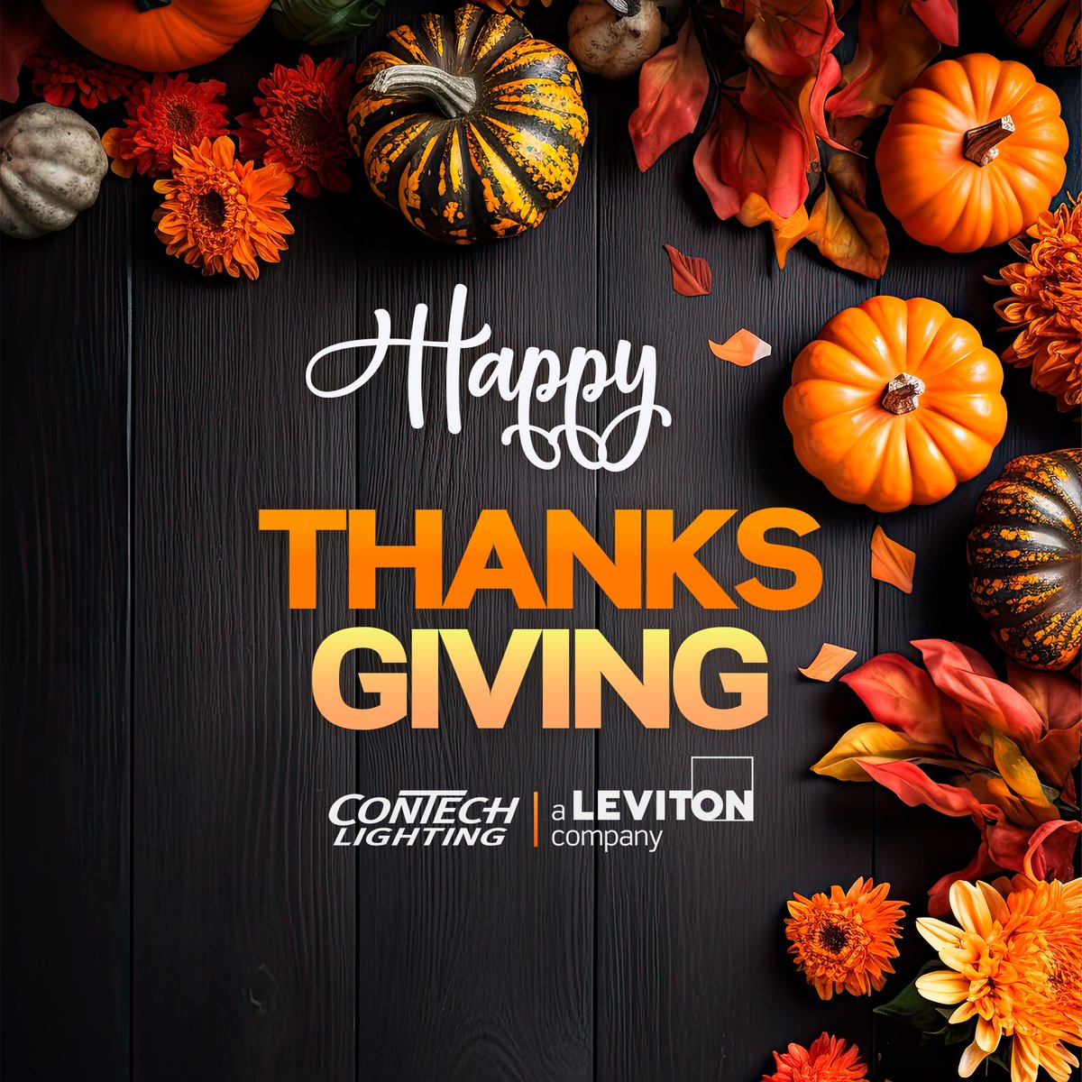 ConTechLighting's tweet image. We give thanks to all our valued customers and our employees. From all of us at ConTech Lighting, have a Happy Thanksgiving! Our offices will be closed November 23rd and 24th.
#Thanksgiving #Lighting #Holiday