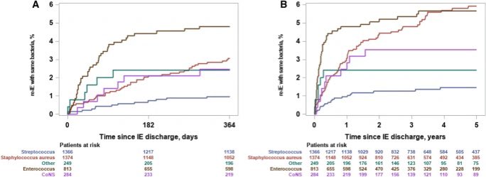 ❕In pts surviving #IE - recurrence of #bacteremia or #IE is feared😧 Using nationwide 🇩🇰 data, the authors @EmilFosb et al. found that recurrent #bacteremia w/ the same bacterial species within 12 months, occurred in almost 5% and 2.6% for recurrent #IE🦠 @ClinMedJournals