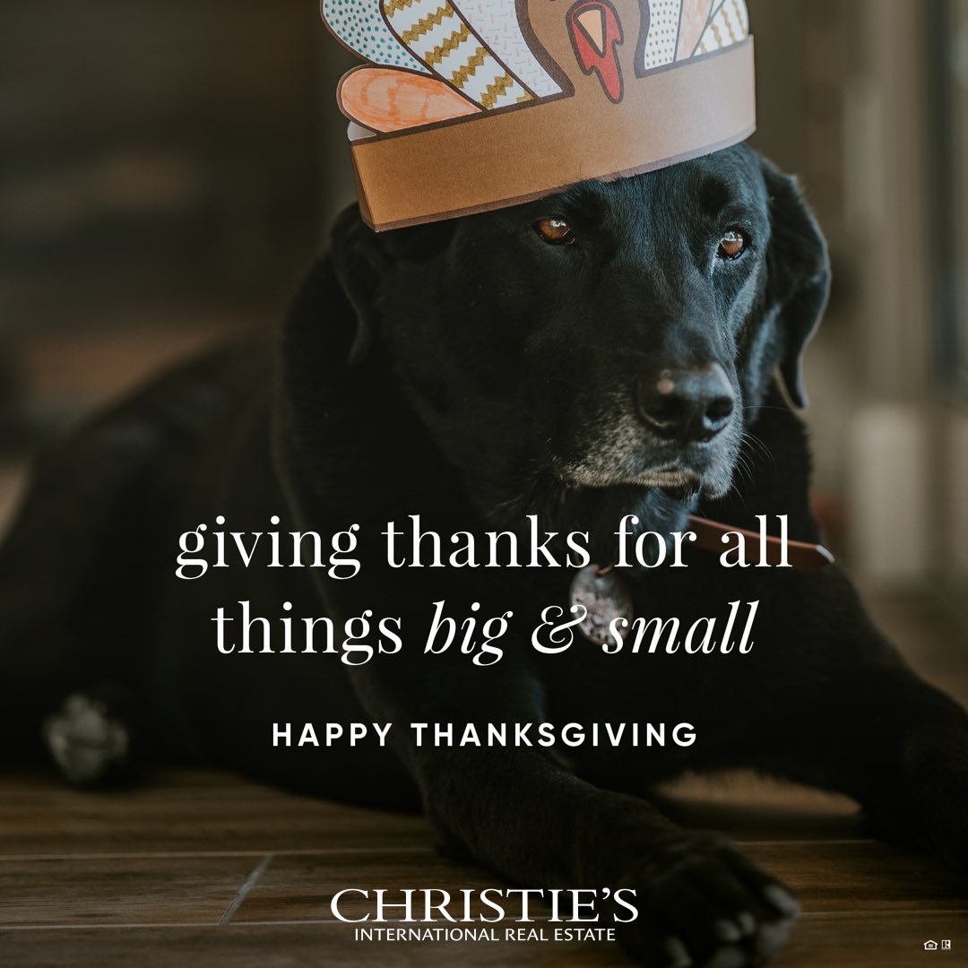 JennD's tweet image. 