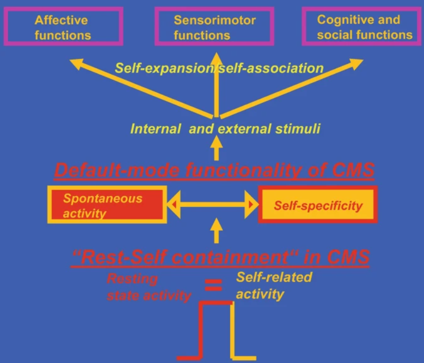 Do you know already the book chapter "#Brain #Networks and the Emergence of the #Self: A #Neuro-phenomenal Perspective"

You can find it freely at :
link.springer.com/chapter/10.100…
@Springer_Shop