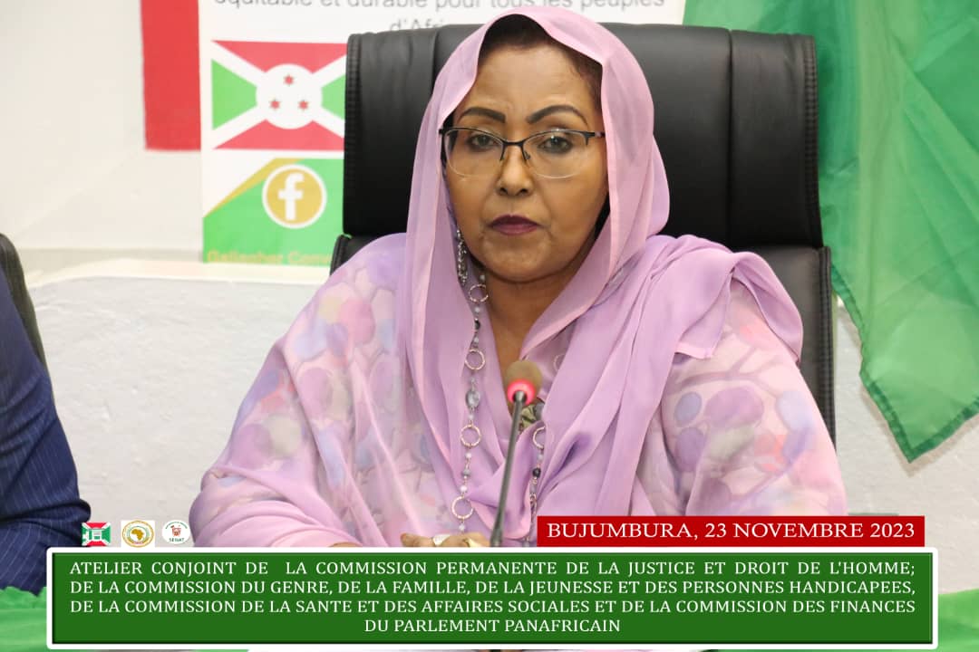 nshingamateka's tweet photo. 2/3 L'Hon. Safia #Elmi_Djibril, 2e Vice-Pdt du @AfrikParliament a dit qu'au cours de cet atelier, ce fût l'occasion de trouver les voies &amp; moyens de prévenir la migration des jeunes Africains vers les pays de l'Europe &amp; les gouvernances anticonstitutionnelles https://t.co/YKVRdgrC1Q