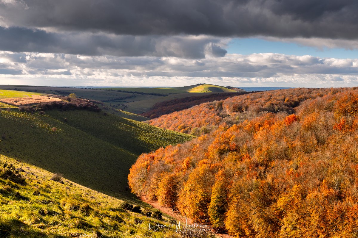 Daniel Wretham tweet media