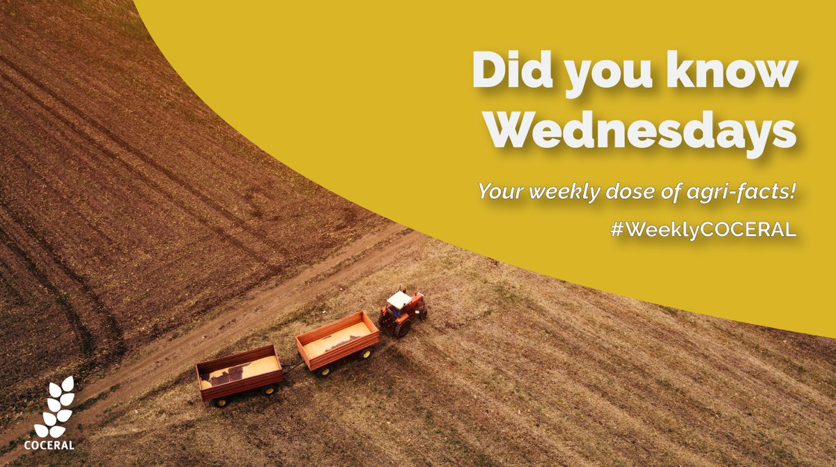 COCERAL_EU's tweet image. Did you know that the @IPCC_CH Special Report on Climate Change and Land suggests that 21-37% of GHG emissions could be tied to global food systems?

With #COP28 coming soon, it's a key consideration for the grain trading sector and our members.

#WeeklyCOCERAL