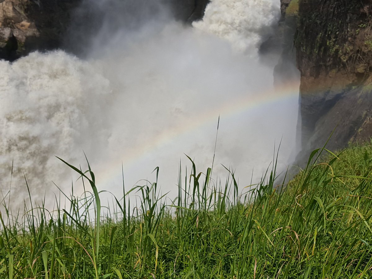 Murchison Falls National Park tweet media