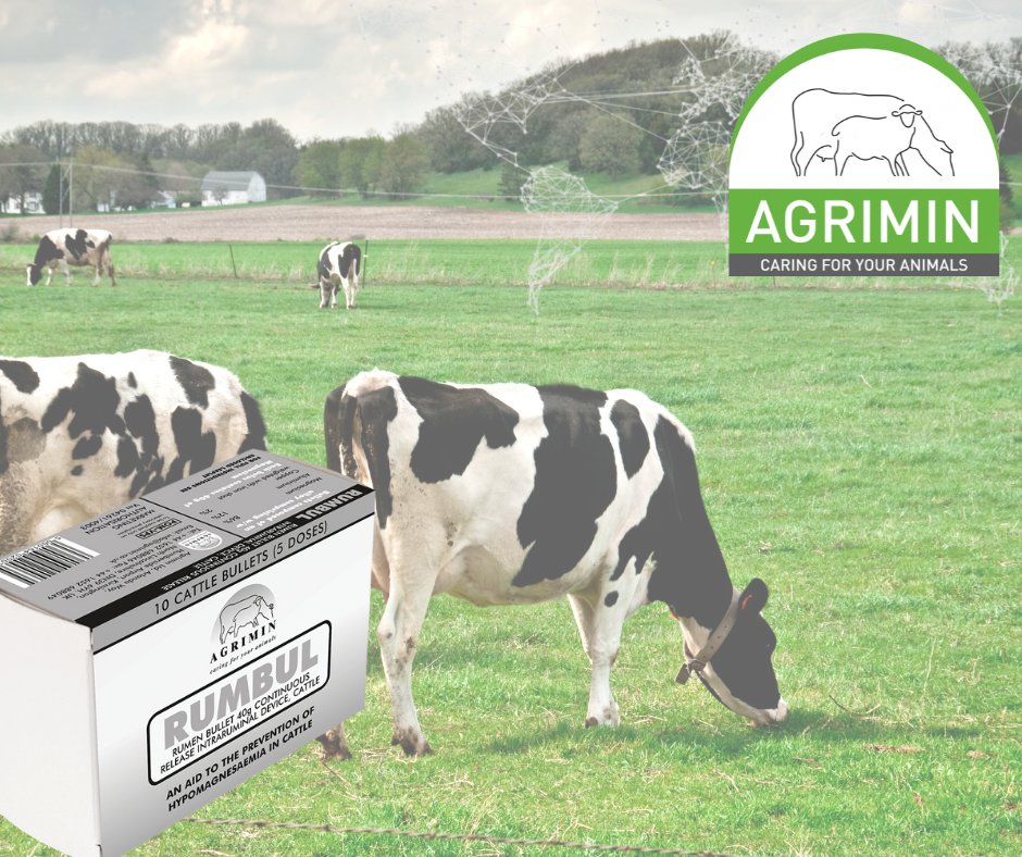 Are you aware of what causes a magnesium deficiency in cattle, why they need magnesium, how cattle process magnesium and, crucially, what are the most effective ways to prevent or treat a magnesium deficiency in your livestock?

agrimin.co.uk/symptoms-magne…