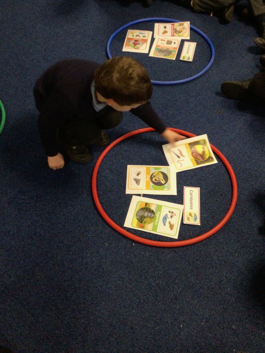Year1_GV's tweet photo. During Science, we sorted animals into categories and determined if the animals were carnivores, herbivores or omnivores!
#year1 #science #stem #staninaction #wehavethepower https://t.co/vcMUKF7gtY