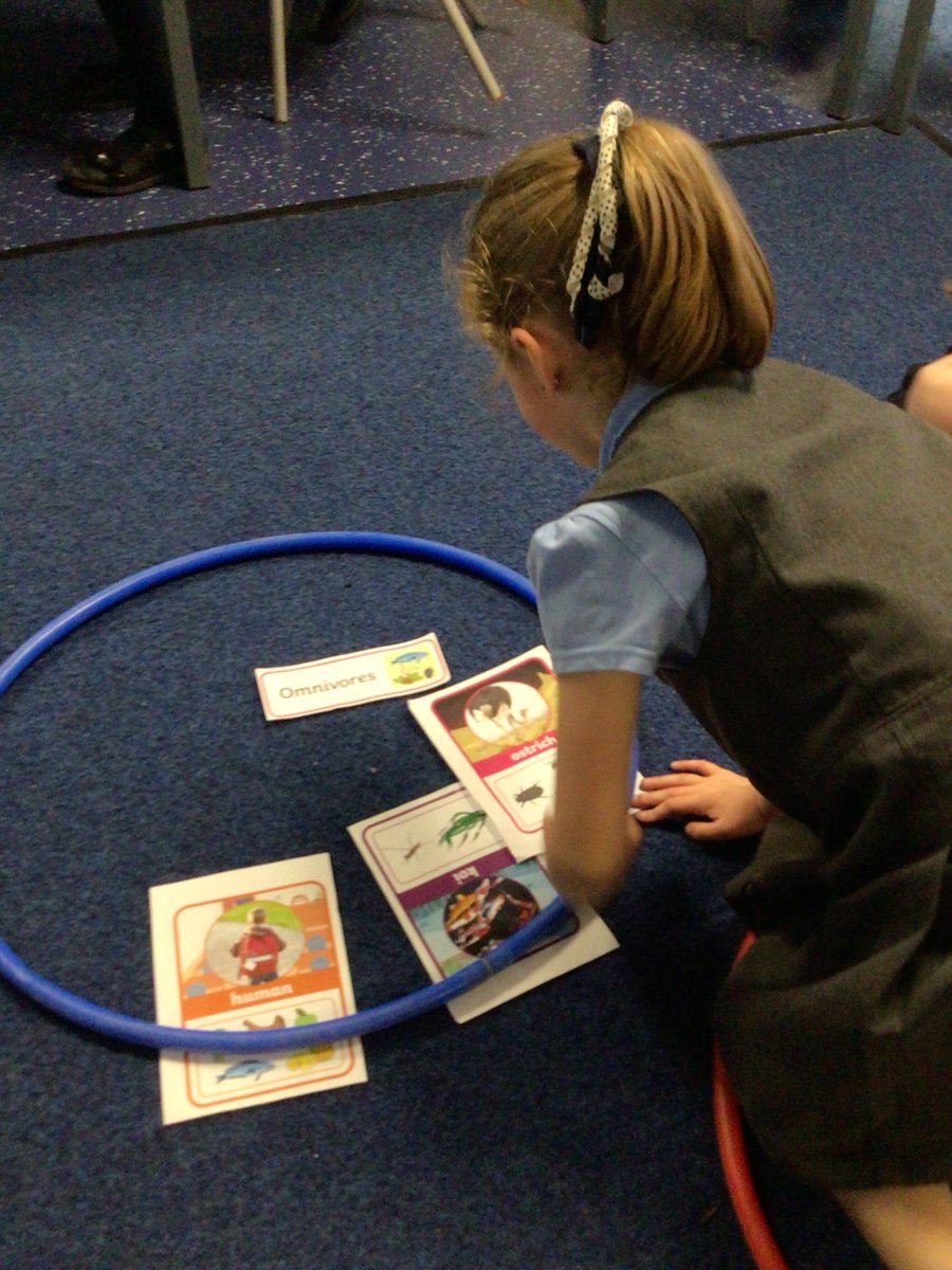 Year1_GV's tweet photo. During Science, we sorted animals into categories and determined if the animals were carnivores, herbivores or omnivores!
#year1 #science #stem #staninaction #wehavethepower https://t.co/vcMUKF7gtY