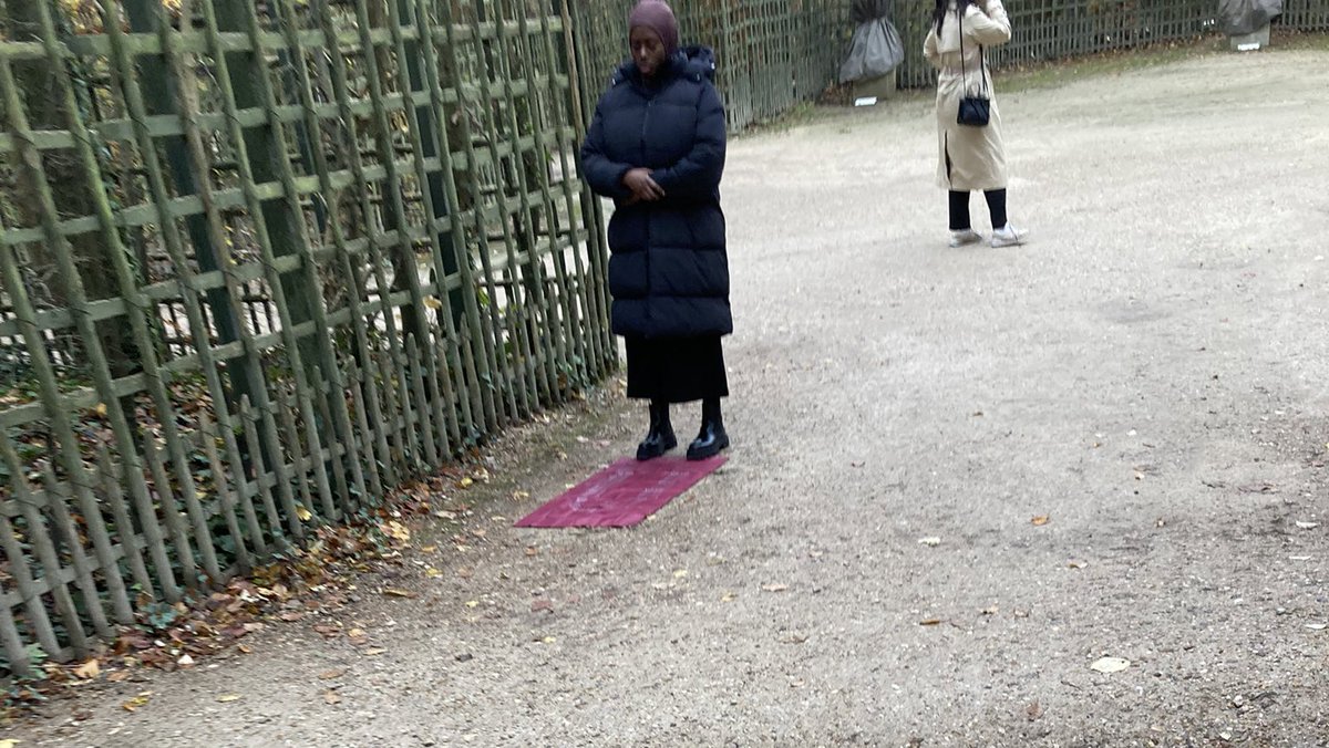 DamienRieu's tweet photo. Jardins du château de #Versailles. https://t.co/7dKqr9CwXR