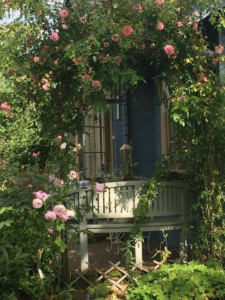 ͏ ͏͏ ͏𐙚 tweet media