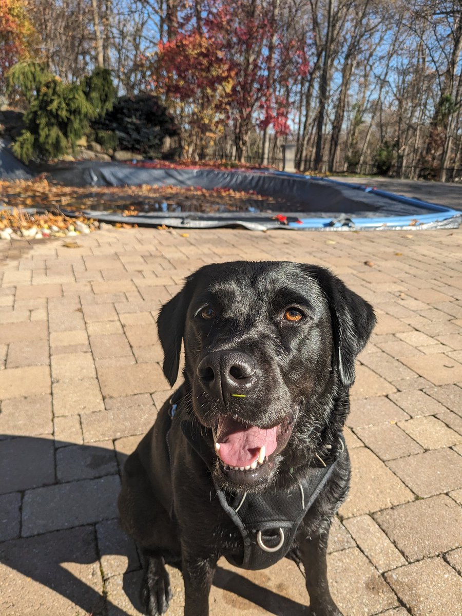 Joshua Kimbrell tweet media