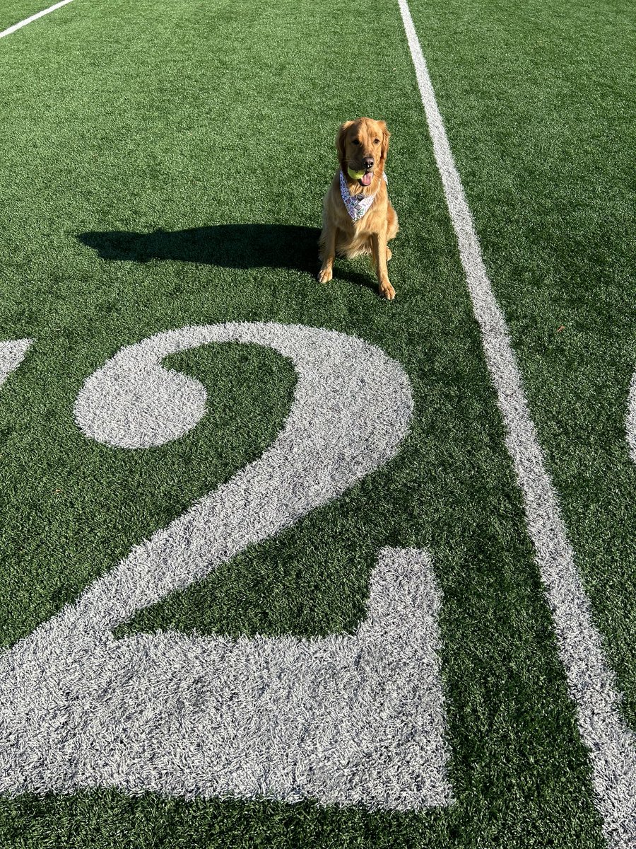 spencer2day's tweet photo. Happy 2nd Birthday Snoop! Fetch, food and football all day long. Nothing but the best for my boy #HottyToddy https://t.co/fjg8QHGa4E
