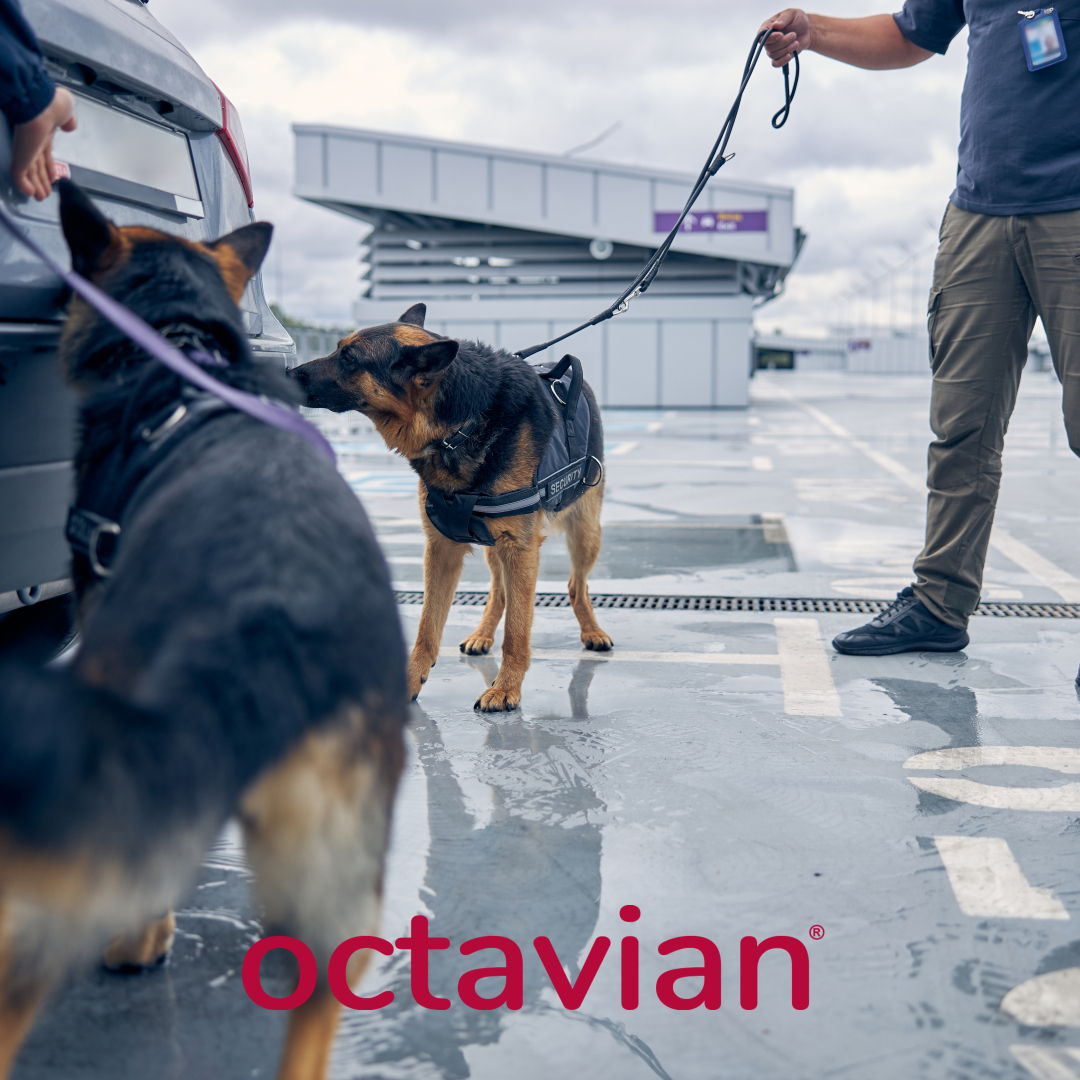 Defending Boundaries, One Paw at a Time 🐾

Find out more : octaviangr.com/uk/k9-security/
#k9security #security #octaviansecurity #sitesafety