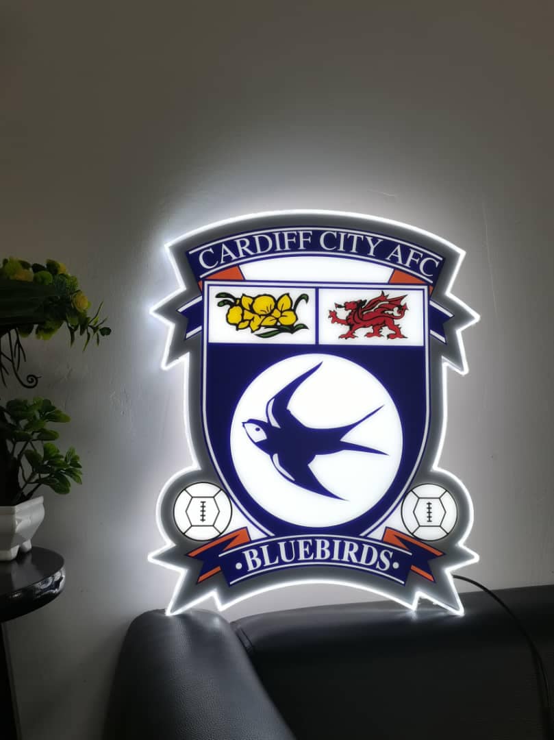 Cardiff City Forum (@ccfc_forum) / X