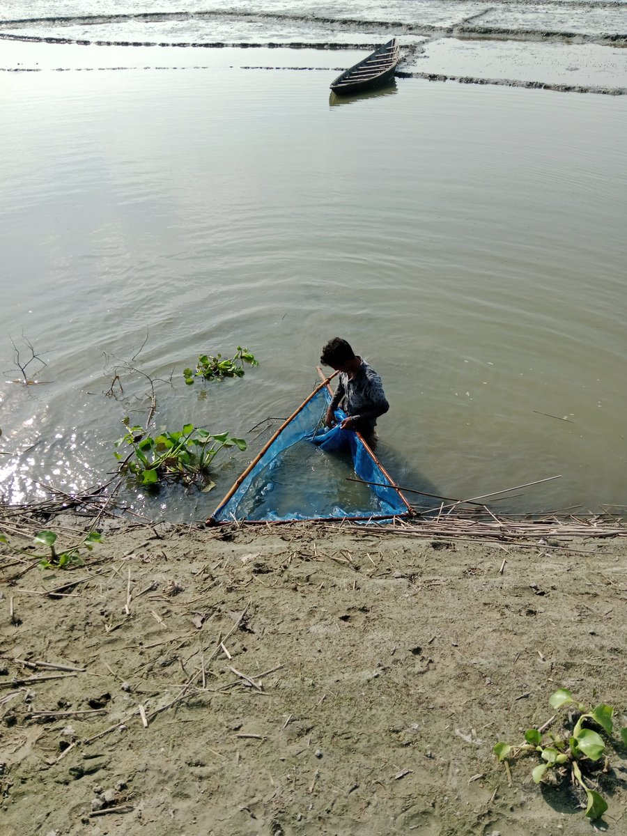 Beautiful Bangladesh 😍
#Bangladesh #pabna #villge