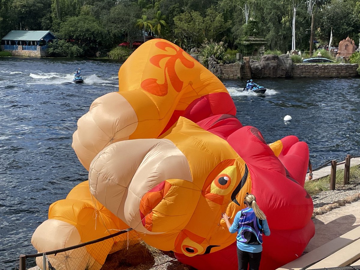 tinymallet's tweet photo. My thanksgiving day parade https://t.co/t2eLJa0qUL