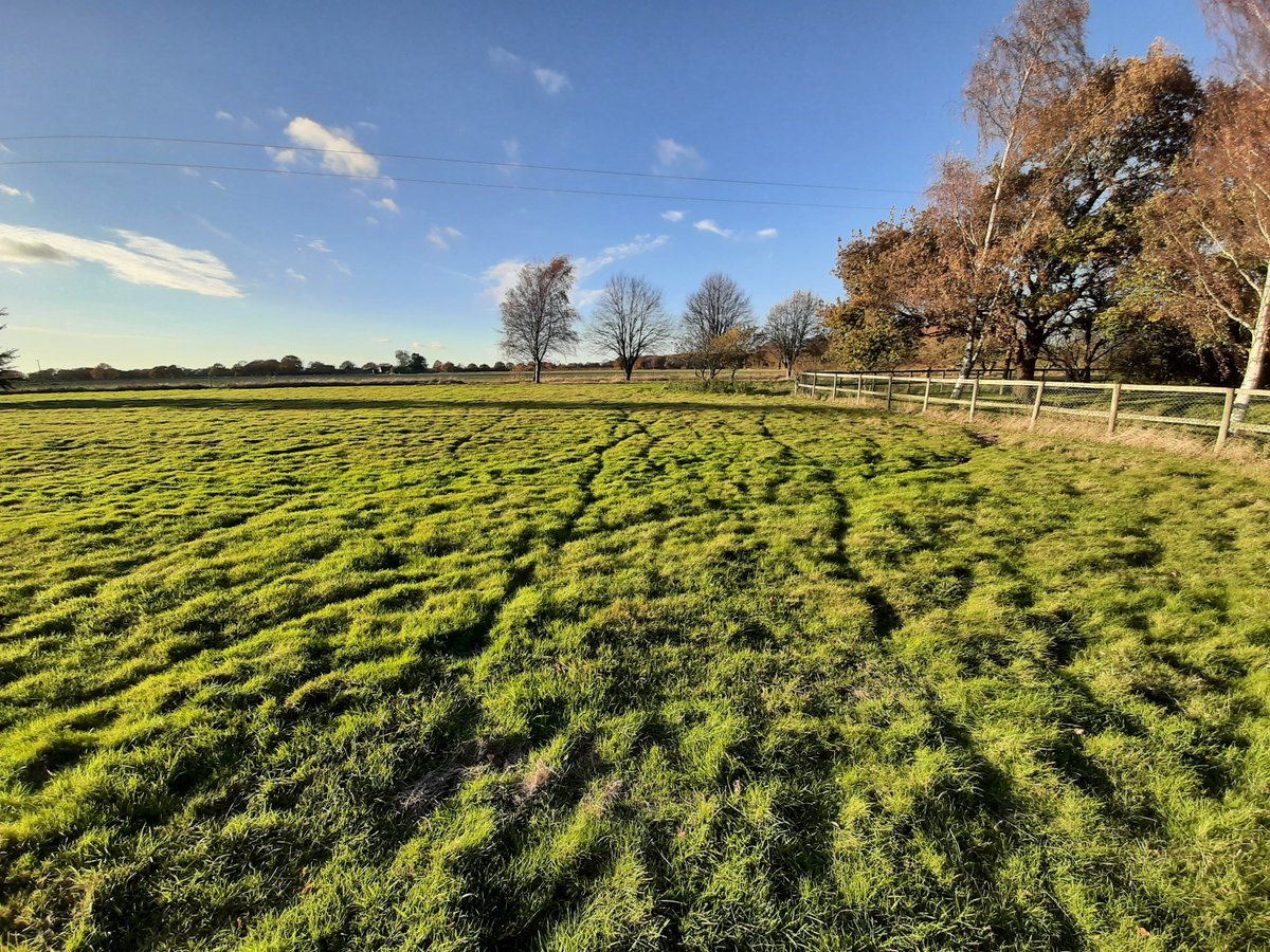 Fifty  years+ of established small animal tracks across meadowland. Imagine  these valuable habitats, multiplied by thousands, destroyed needlessly  to construct pylons, when there is a more modern, better, faster and  cheaper alternative.  GO OFFSHORE.