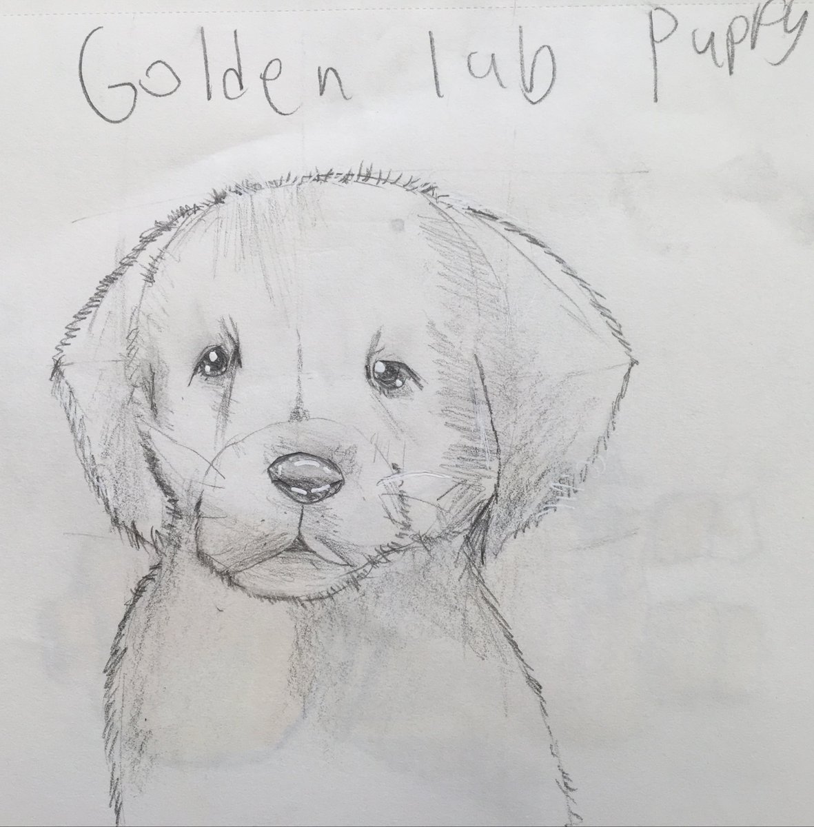 David Shuster tweet media