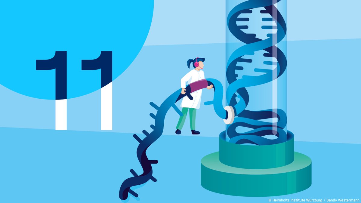 Since its launch in 2018, 11 #PhD students out of more than 600 applicants have been accepted into the “#RNA &amp; Infection” graduate program.🎓 #NumberOfTheMonth
Want to join them &amp; do research at the interface of RNA &amp; infection biology? Apply by Dec 10 at helmholtz-hiri.de/en/jobs-talent…