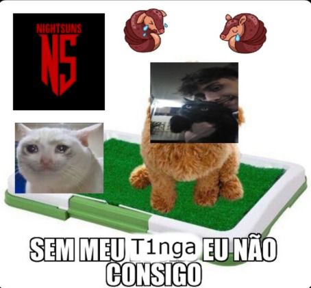 A espera acabou!!!! 

Em mais uma parceria com a <a href="/Nightsuns_/">NIGHTSUNS</a> temos a felicidade de anunciar <a href="/T1nga_LoL/">T1nga</a> para completar o DUO da NS com o <a href="/UlhoaS/">joão goblin</a> 

Ele vem por empréstimo para ajudar nossos tatus a levarem a <a href="/LigaAcademy/">Liga Academy ⚡</a> para casa

Vamos com tudo !!!!

#GoMarere
#VaiTatu