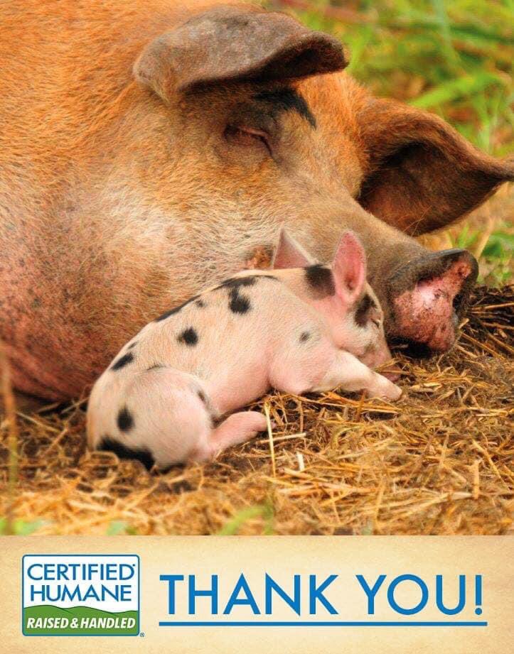 Certified Humane | Humane Farm Animal Care tweet media