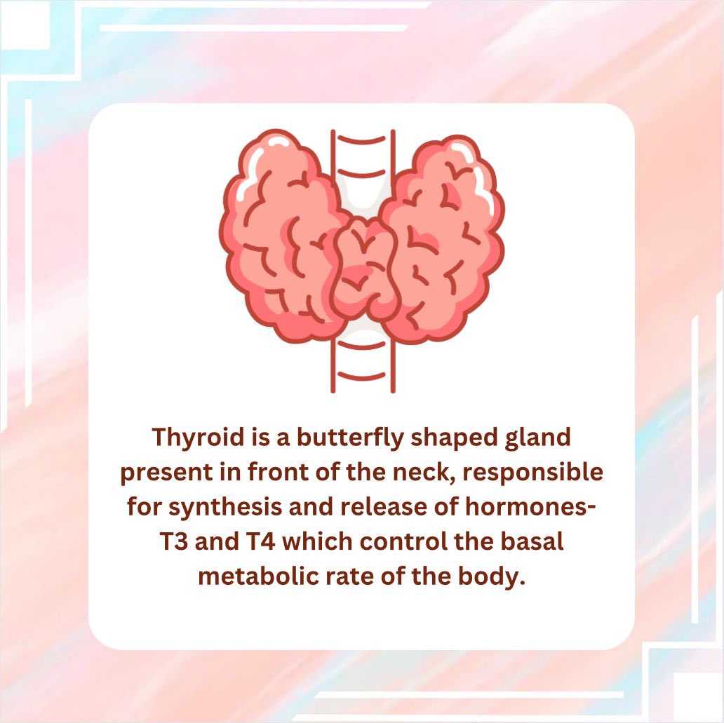International Fraternity of Medical Students tweet media