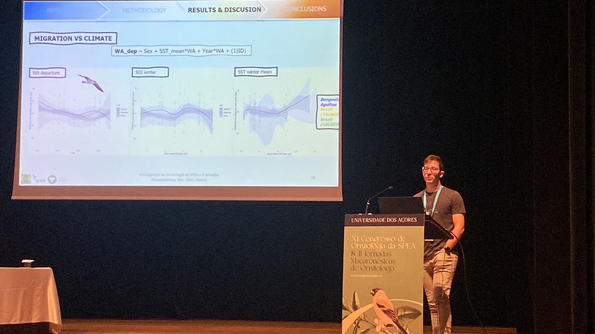 Yesterday I had the opportunity to present my research at #CongressoSPEA2023.

We asked ourselves if #oceanwarming 🌡️🌊  was affecting on #migration phenology of two species of #shearwaters from #Macaronesia 🏝️.

Thank you for the organisation @spea_birdlife.