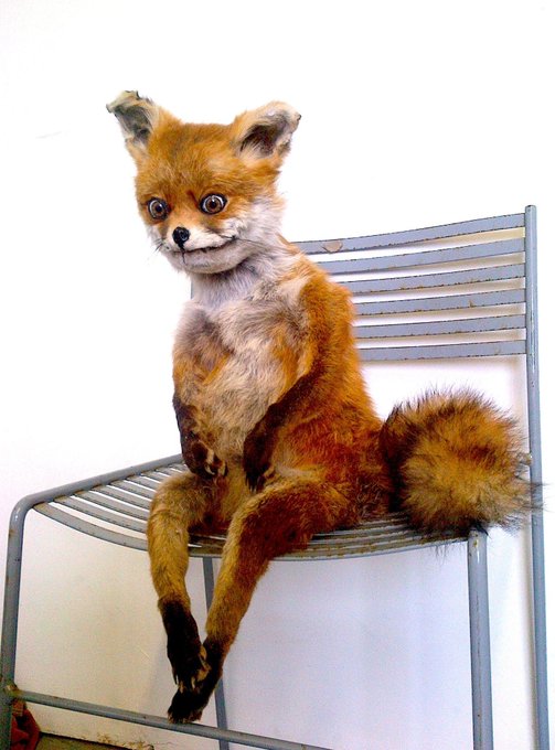My autistic ass when i have to share a bathroom with 8 people for an entire week, and be social with