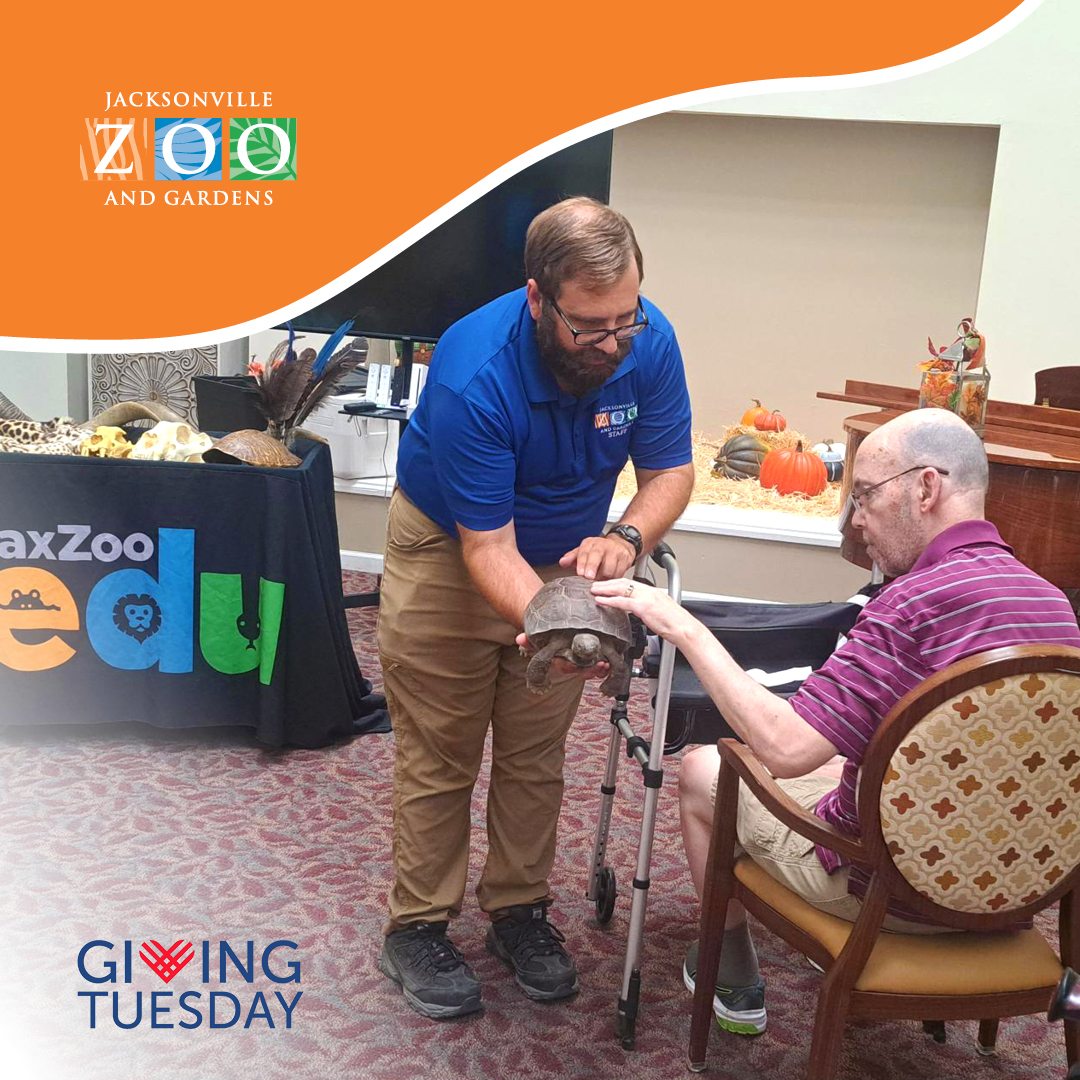 Your donations don't just help fund animal care – they pay for programs like Zoo to You, bringing joy and excitement to people who need it most. See how you can help at jacksonvillezoo.org/giving-tuesday #GivingTuesday
