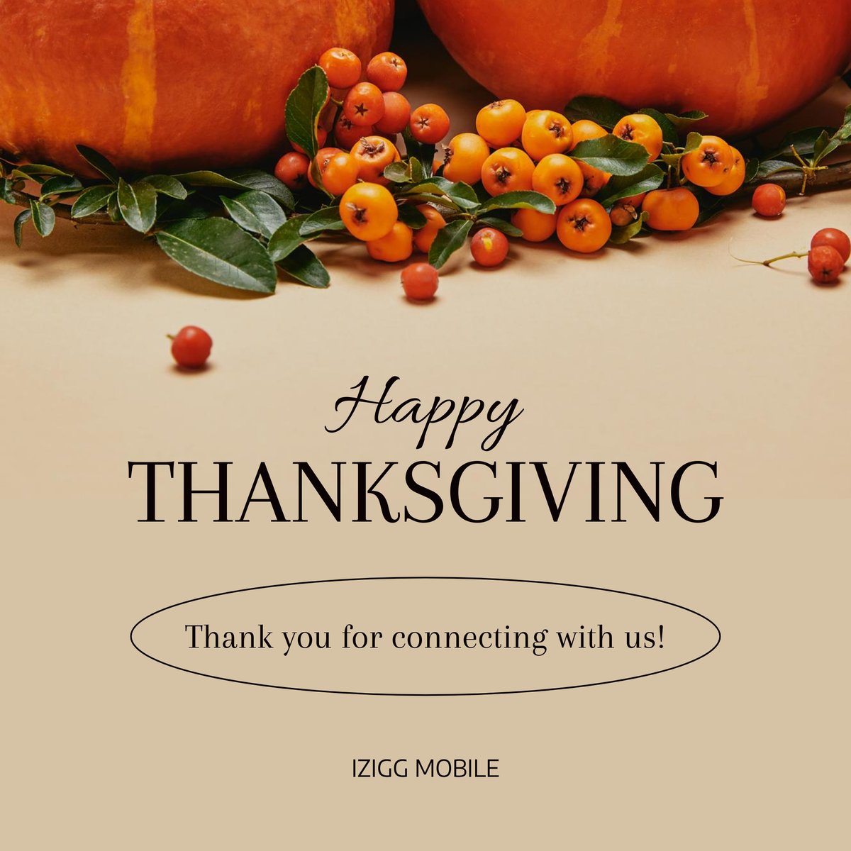 iZigg's tweet photo. Happy Thanksgiving from the iZigg Mobile Team! https://t.co/cwEekasFWo