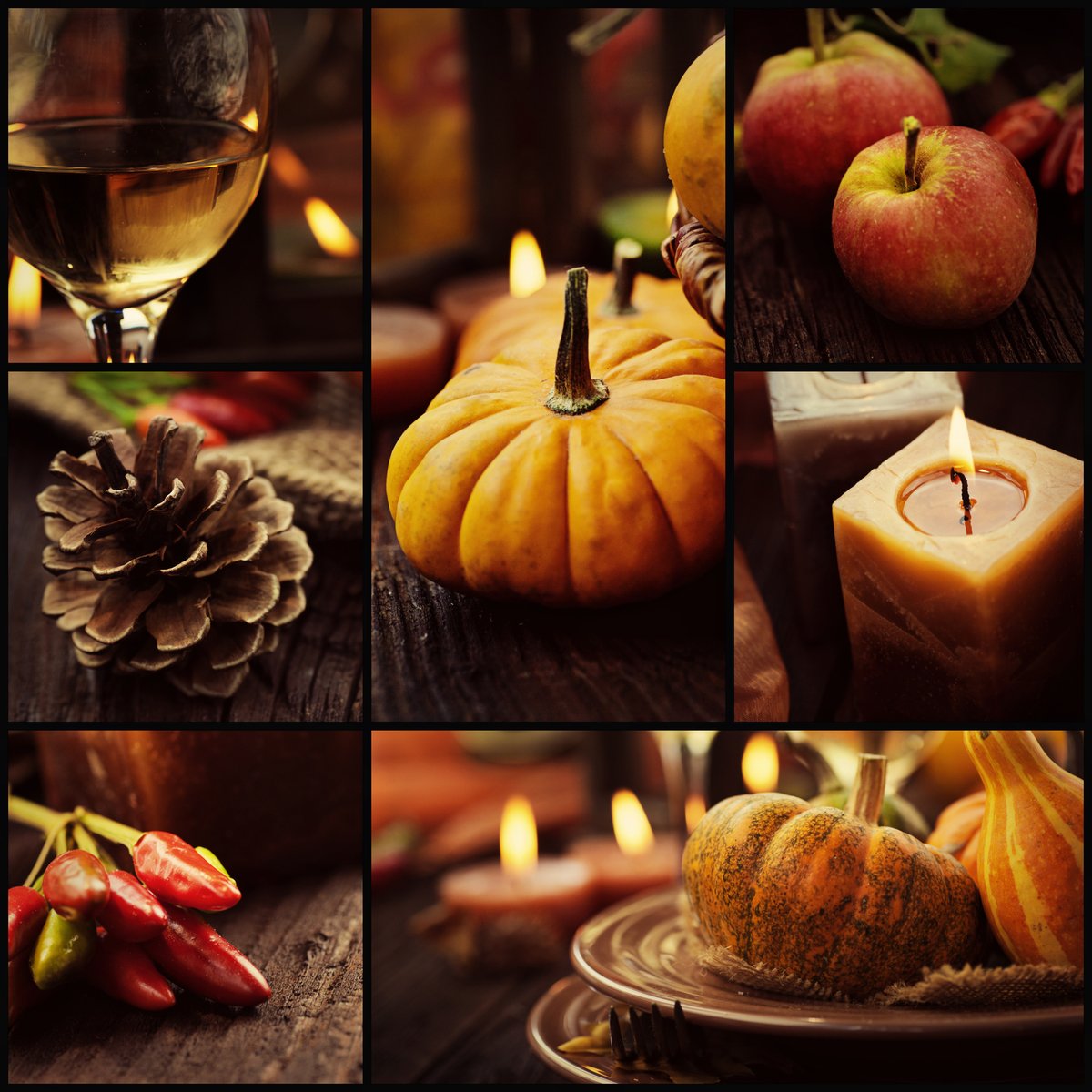 sassemedia's tweet photo. Wishing everyone a Happy Thanksgiving - may the holiday season bring peace and joy.
#Family  #Friends #Colleagues  #Community https://t.co/ACQTqBFeAG