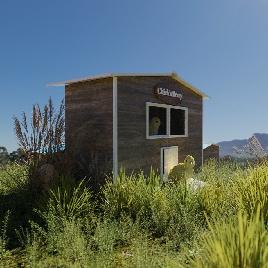 🐣 Chicks Berry 🐣 tweet media