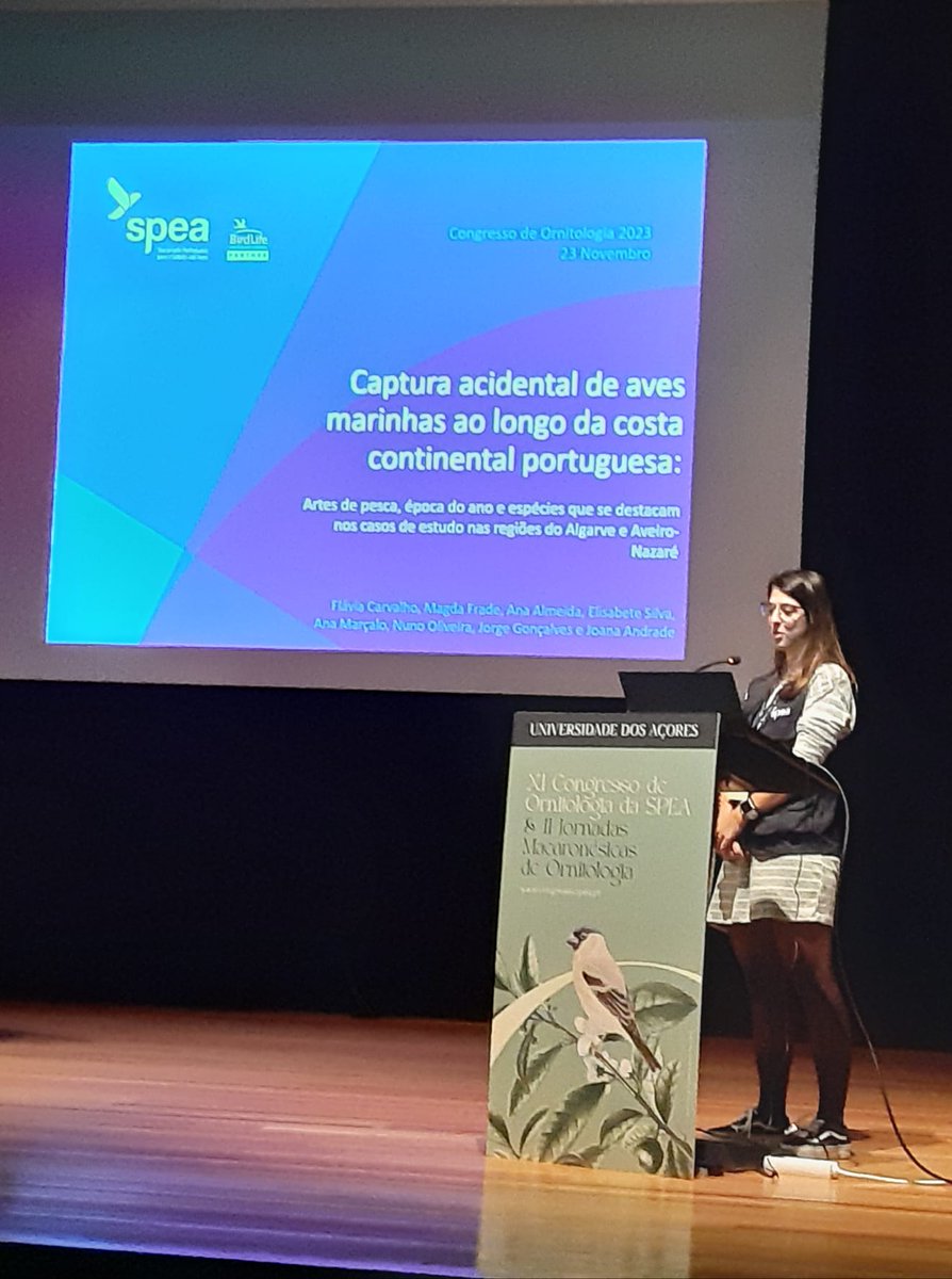 spea_birdlife's tweet photo. Tanto no Algarve como Aveiro-Nazaré, a captura acidental de aves nas pescas foi maior no outono e inverno, por isso devem ser usados esses períodos para testar medidas de mitigação, diz a nossa Flávia Carvalho
#LIFEIlhasBarreira #LIFEPanPuffinus @CienciasDoMar #CongressoSPEA2023 https://t.co/Y9IwabHJxL
