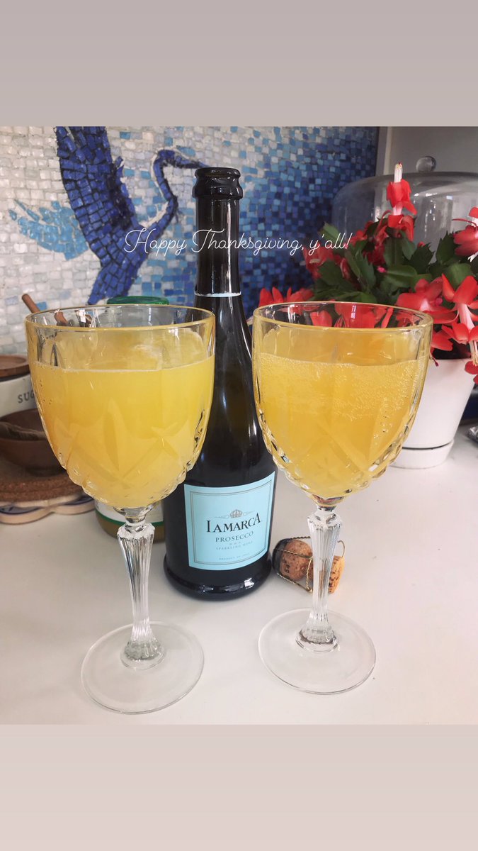 Happy Thanksgiving from the Avalanche Ranch! May peace prevail on earth! Cheers to all who spread love and art. 💙 #grateful