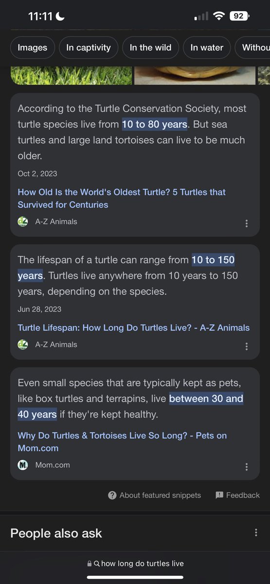 turtle_taetell's tweet photo. So like… uhhhhhh… I never said what kind of turtle I am https://t.co/7pwvCcpJAB
