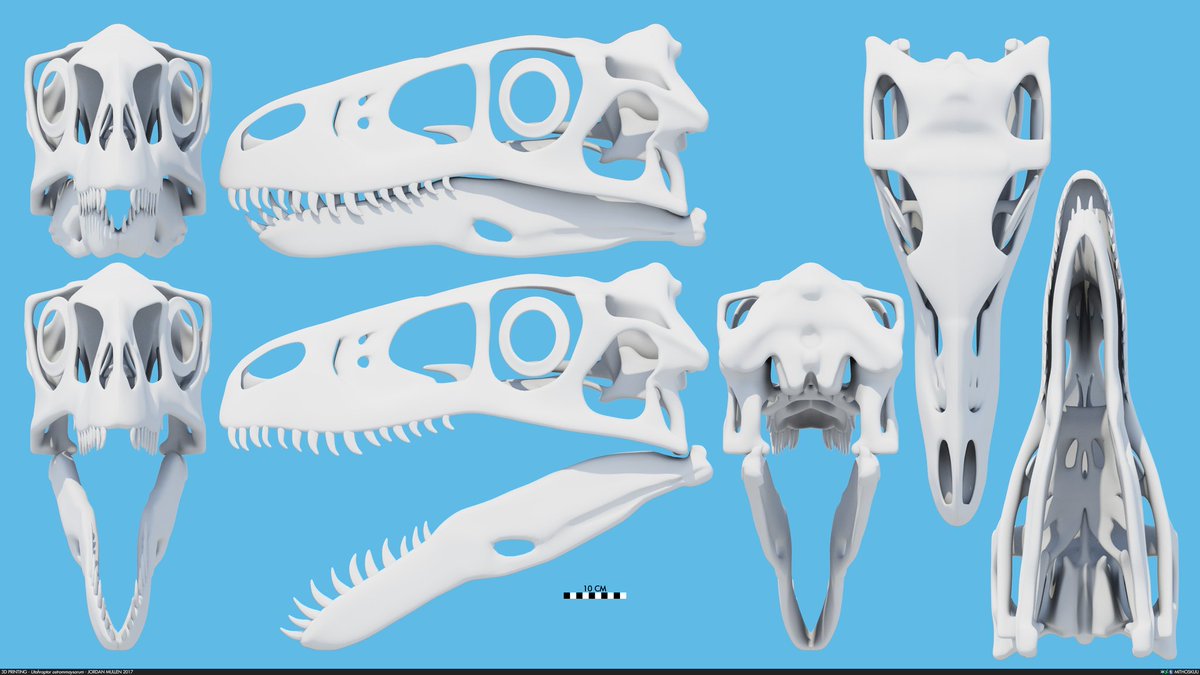 CloneaSaurusMG's tweet photo. @FredtheDinoman My favorite element of our Utahraptor is presenting that curve in the jaw.

It's such a cool and unique part of the Utahraptor that I feel really accentuates it's intimidating look (beyond it's monsterous size ahahah) https://t.co/eBcrryz0AZ