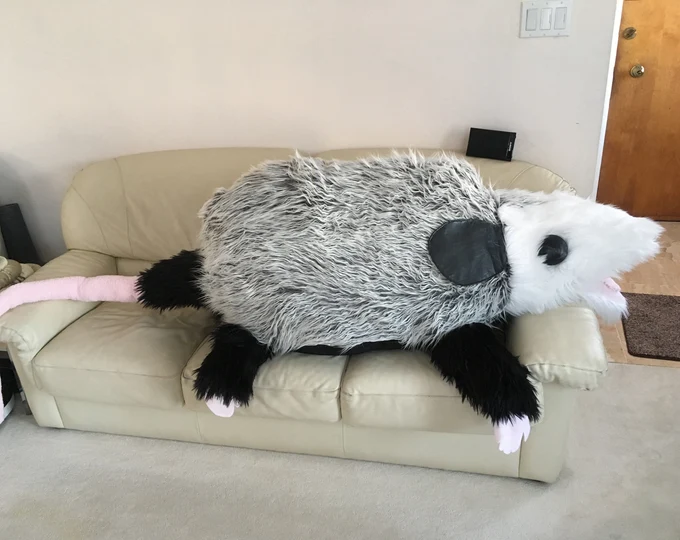 her: you better not be that giant life-size possum plushie when i get there my soft ass: