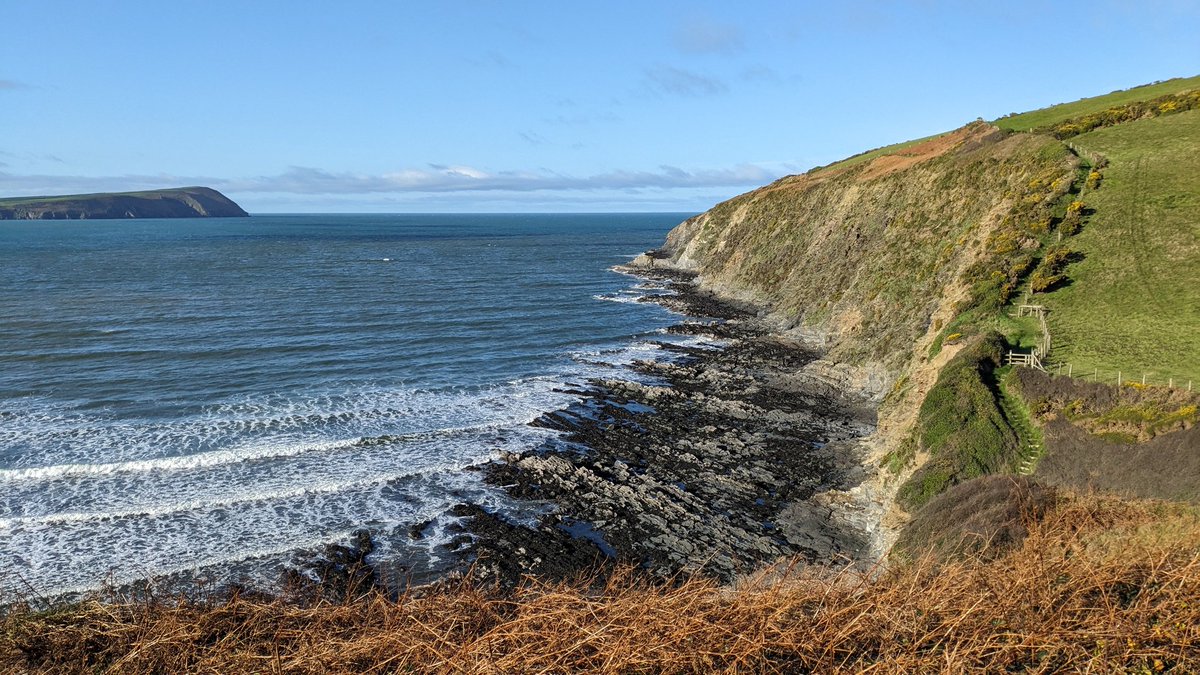 Ali Cordrey tweet media