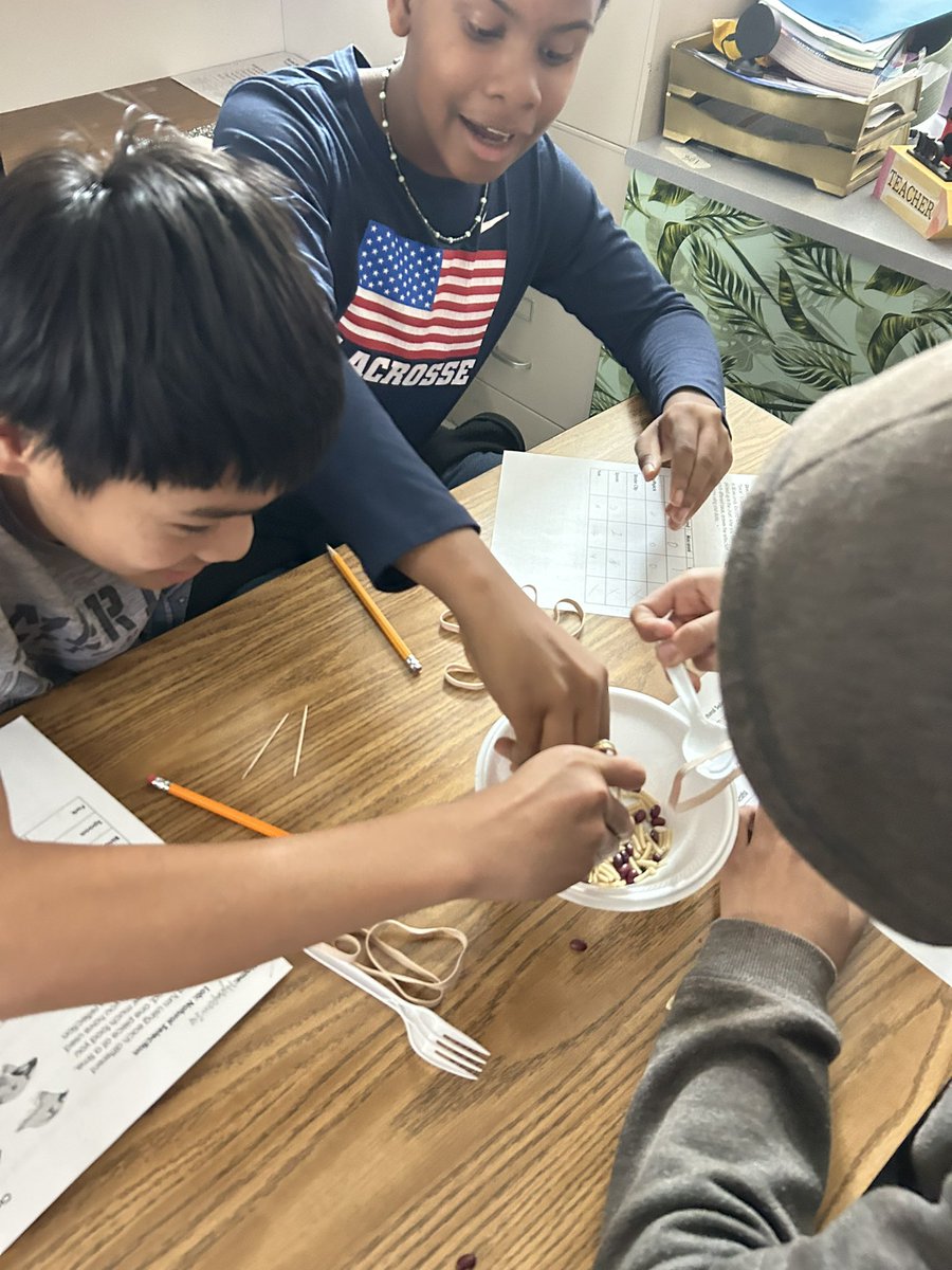 MsAMcLaughlin's tweet photo. 8th grade science students simulating Darwin’s Finches. They did a great job recording, describing, and analyzing their data! I have been having so much fun teaching science with my ELs and making the content accessible for them! @OPS_Morton #ELsCan https://t.co/gZQSLIVJpv