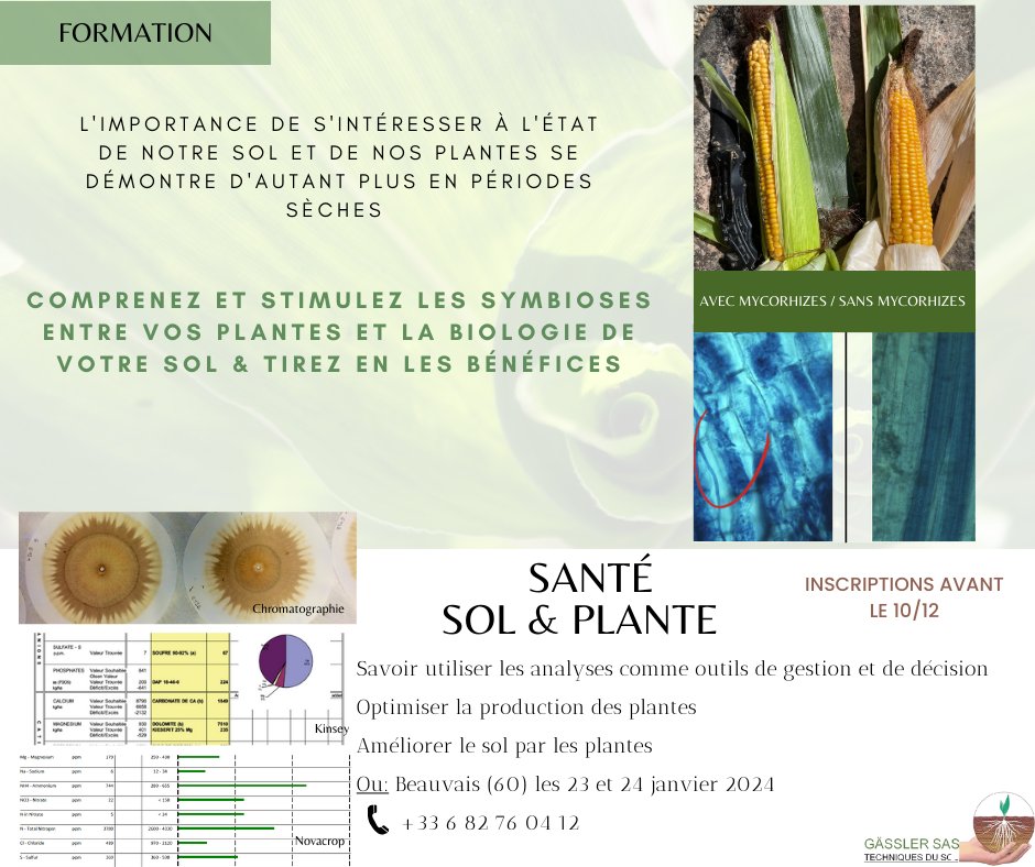 🌾 Favorisez les symbioses entre plantes &amp; biologie du sol, tirez en les bénéfices
✅Commencez à engager un cercle vertueux
📆 23-24/01/24 à Beauvais (60)
ℹ️434€ avec prise en charge partielle possible (VIVEA ou autre)
⚠️inscription avant le 10/12 : airtable.com/appjuuDUMrTO2y…
