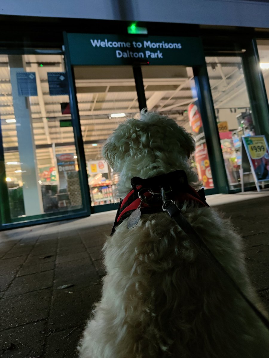 Doogle49810249's tweet photo. Shopping is hard work @Dalton_Park  
I love being able to come with my dads https://t.co/uJzaESxvzN