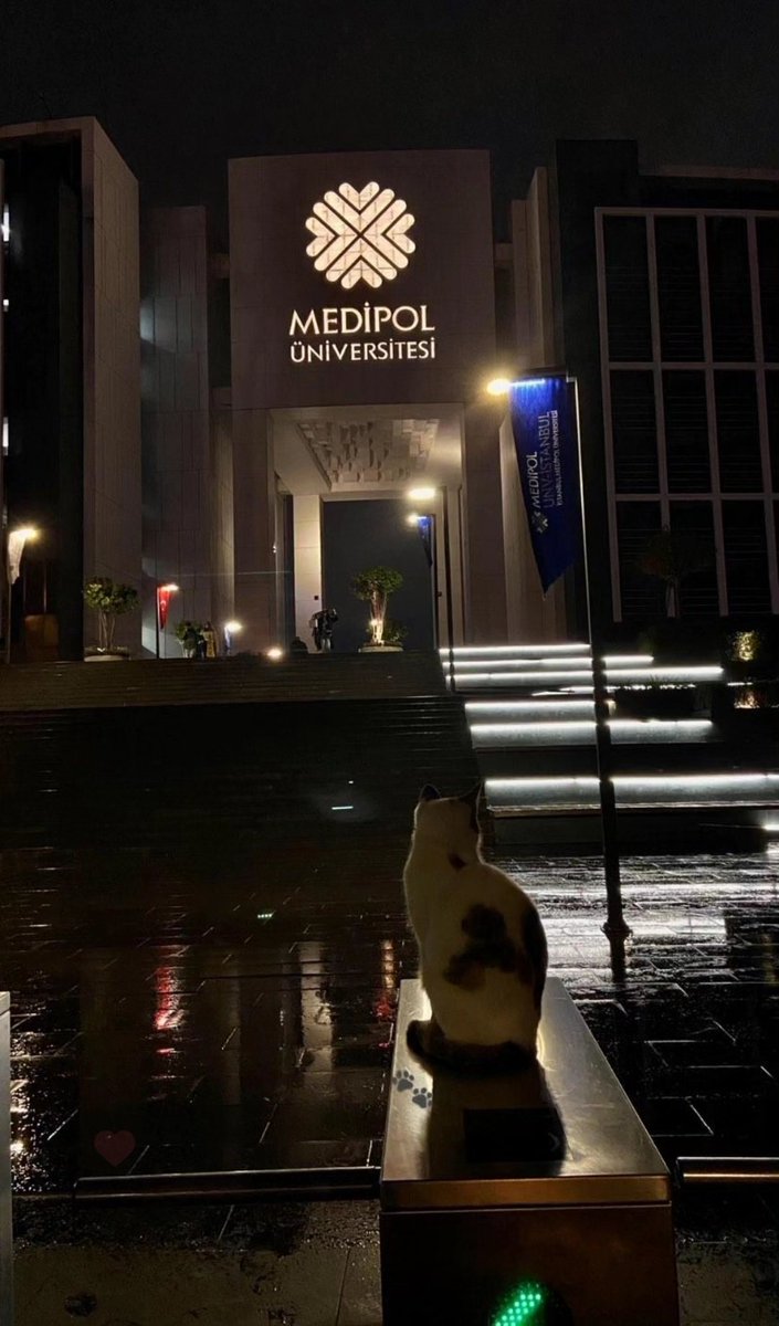 medipol_kampus's tweet photo. 😺 https://t.co/o7Fl5v3P5j