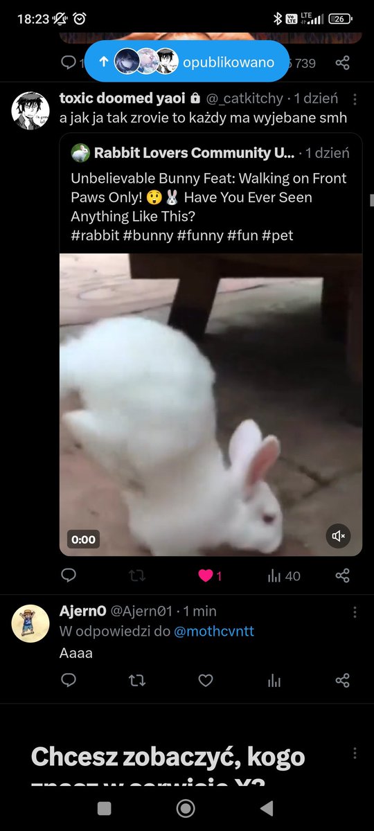 Ajern01's tweet photo. @_catkitchy Nieźle się ustawiło xDDD https://t.co/FqdGeHvk6l