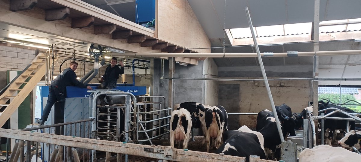 Simon_de_Haan's tweet photo. Vandaag is de #V310 op zijn plek gezet bij @AlicevanDrie. In wereldrecord tempo van 3 weken de complete melkstal verbouwd en is er nu een mooi plein voor de robot met vrij koeverkeer, én een separatieruimte gecreëerd. Er zijn maar liefst 12(!) extra ligboxen gecreëerd. 1/2 https://t.co/imfFvcNG51