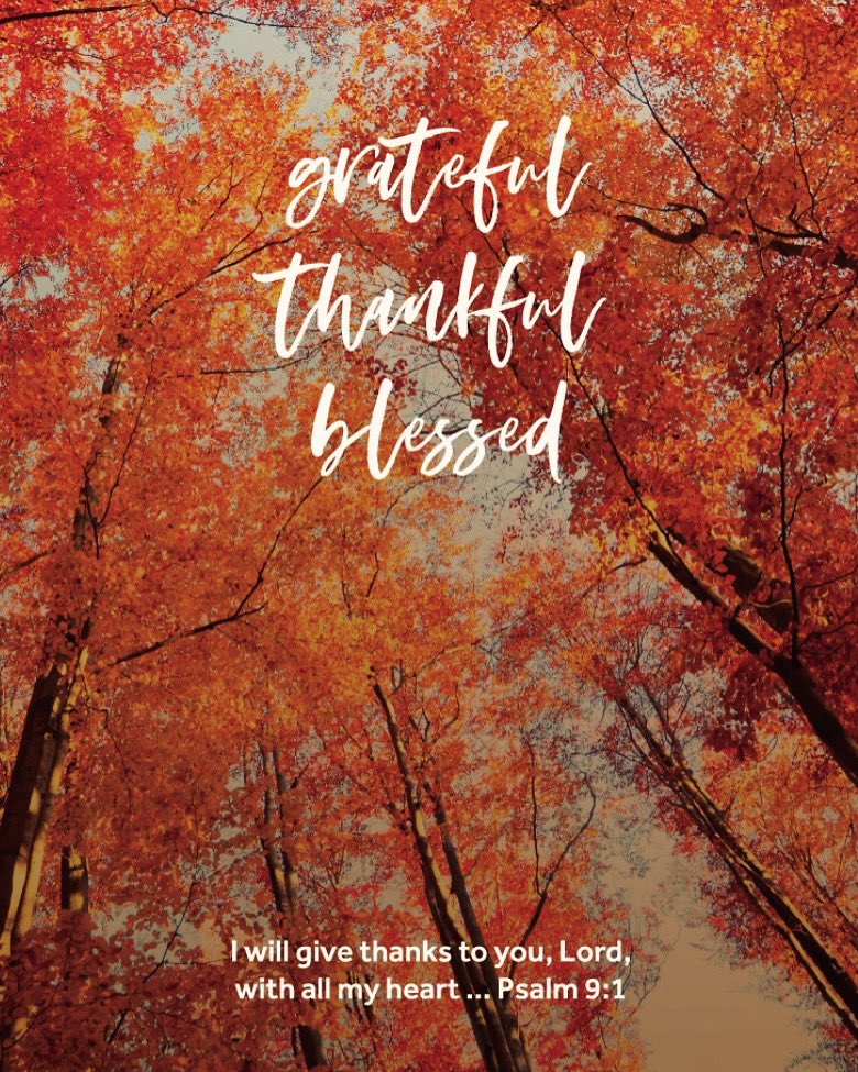 RayCornelius tweet media