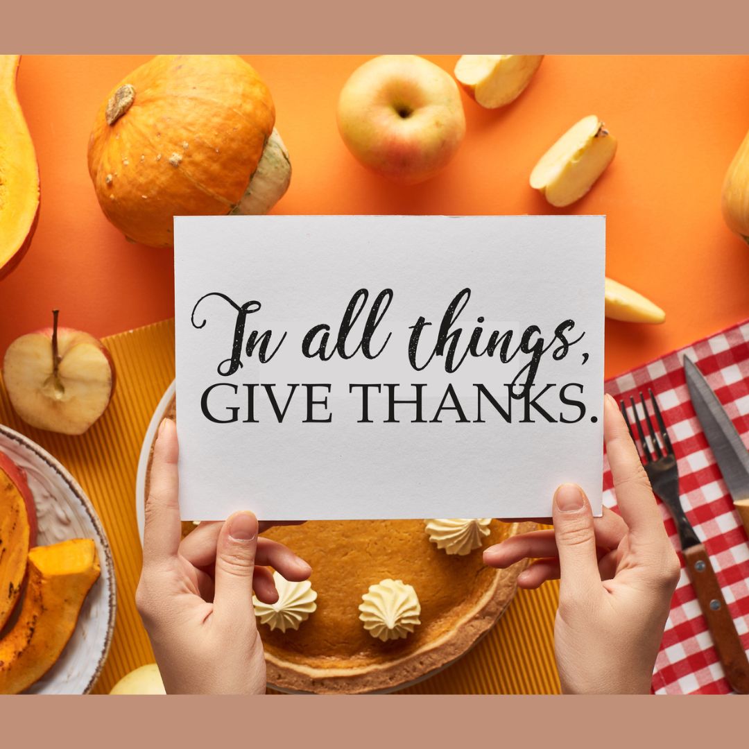 Wishing you a wonderful Thanksgiving from all of us at OpenVine! We are grateful for all of you! #thanksgiving #Gratitude