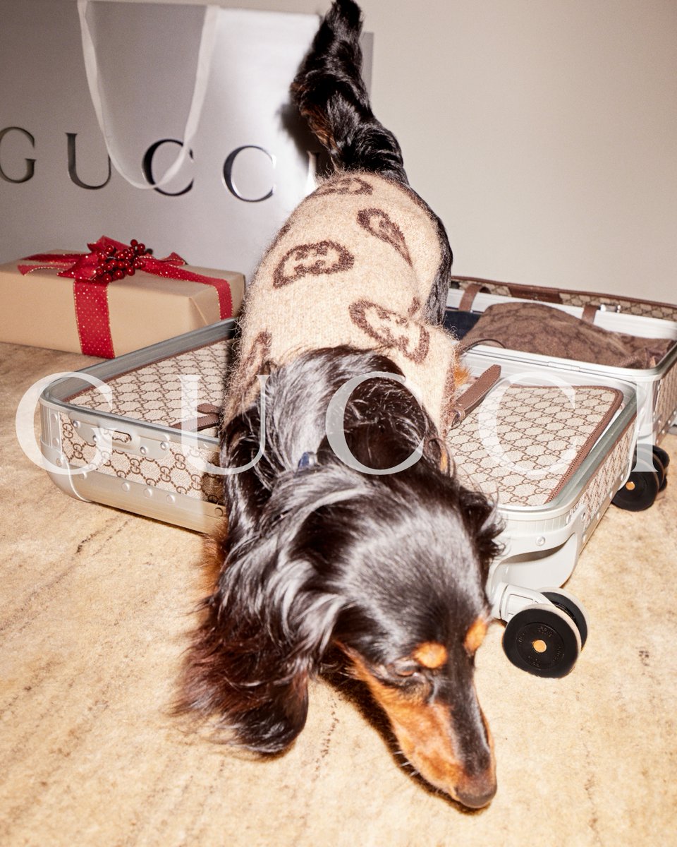 A festive treat. Discover the Gucci Pet selection for the holidays