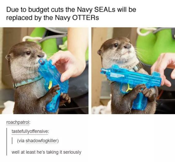 WholesomeMeme's tweet photo. https://t.co/TV5y7CmG6W