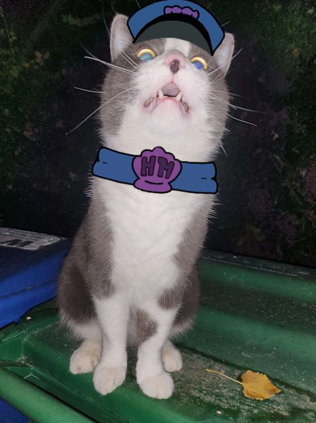 amoebamom's tweet image. This Thanksgiving, I'm grateful for our precious "Hall Monitor" (Tim?!) for protecting us from the spiritual/underworld👻🐈‍⬛🙏🦃
#SpongeBobSquarePants #hallmonitor #CatsOnTwitter #grateful